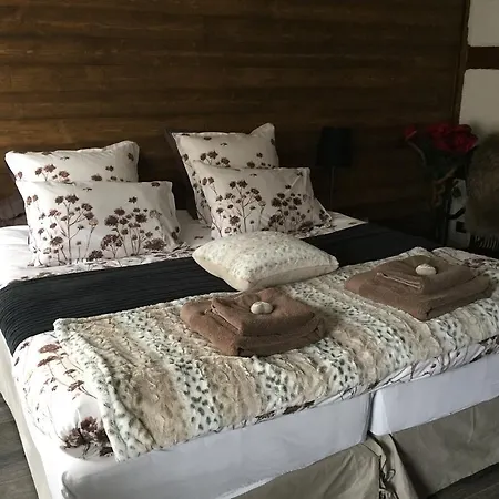 ホテル Au 1608 3*